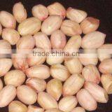 Java Peanuts thumbnail-2