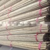 ZENT -28 white bamboo pole /bamboo stake /moso bamboo /bamboo cane