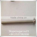 China Fasteners Stainless Steel Flat Head Scerw thumbnail-1