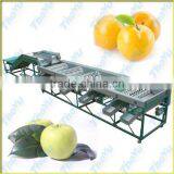 Thoyu Brand Automatic Fruit Grading Machine With Low Price(SMS:0086-15903675071) thumbnail-1