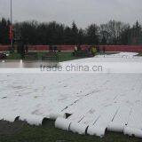 Skating Rink Strip,EPDM Ice Rink Mat,PE Ice Rink Hose,maufacturer,RoHS