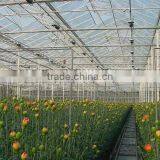 Pervious to Light Vegetables Greenhouse thumbnail-1