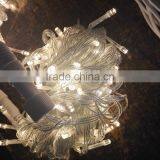 Waterproof AC24/110/220 led string lights christmas 100 led light