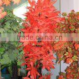Hot Sale Artificial Maple Trees , Artificial Simulation Red Rich Tree Plastic Fake Pachira thumbnail-1