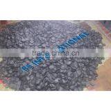 Buffalo Horn Blanks thumbnail-1