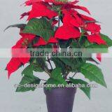 RED ARTIFICIAL VELVET POINSETTIA FLOWER BUSH X 6 W/6 PCS POINSETTIA FLOWER HEAD ON PLASTIC PLANTER thumbnail-1
