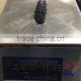Dried Sea Cucumber/ Dried Salted Sea Cucumeber thumbnail-5