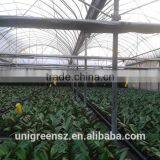 Used Greenhouse Frames for Sale thumbnail-1