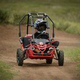 Kids 50cc Rental Pedal Two Seat Mini Jeep go Kart thumbnail-3