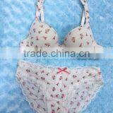 Lovely Flower Printed Hot Sale Sexy Ladies Fancy Bra Panty Set thumbnail-3