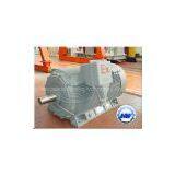YB560-800 Three-phase Induction High Voltage Motors thumbnail-2