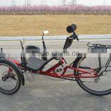 3 Wheel Reverse Recumbent Trike thumbnail-5