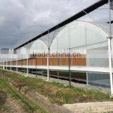 UV Treated Plastic Greenhouses for Sale thumbnail-2