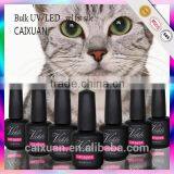 Wholesale Cat Eye Bling Color Led Nail Gel Polish,soak off Magnetic uv Gel Polish thumbnail-2