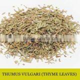Thyme thumbnail-1