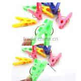 Home Supplies-Special Plastic Clothes Pin thumbnail-1