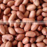 Roasted Peanuts With Skin, Roasted Peanut Kernels, Roased Peanut With Red Skin thumbnail-2