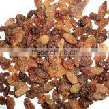 Seedless Sultana Raisin thumbnail-1
