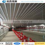 Low Cost Steel Structure Modern Chicken Shed thumbnail-1