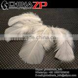 CHINAZP Good Quality Plumage Wholesale Dyed Ivory Turkey T-Base Body Feathers for Sale thumbnail-1