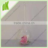 //Materials: Terrarium, Air Plant, Hanger, Borosilicate, Glass, Airplant,//glass Water Drop Decoration thumbnail-2