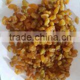 GOLDEN RAISIN (NEW CROP) thumbnail-6