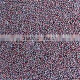 MUSTARD SEED thumbnail-1