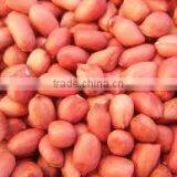 Peanut Java Type thumbnail-4