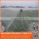 Top Selling 20/30/40/50 Mesh Hdpe Plastic Agriculture Greenhouse Vegetable and Fruit Anti-insect Net , Nylon Insect Net thumbnail-6
