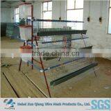 High Quality Automatic Layer Chicken Cages/chicken Egg Layer Cage/egg Layers Cage Design thumbnail-1