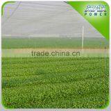 Best Selling Anti Insect Net for Greenhouse thumbnail-1