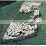 China Low Price High Quality Galvanized Steel Farm Field Fence thumbnail-1