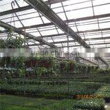 Multi Span Green House With Climate Control and Cooling Pads thumbnail-1