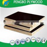 20mm Black Film Faced Plywood thumbnail-5