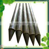 Black Plastic Plant Round Stakes and Ward thumbnail-1
