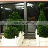 Preserved Boxwood Topiary Design at Different Shapes for Dior Store Decoration thumbnail-1