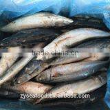 High Quality Fresh Sea Frozen Cheap Pacific Mackerel thumbnail-2
