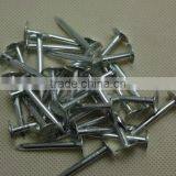 Galvanized Cupper Nails With Factory Price thumbnail-5