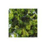 AD Broccoli thumbnail-1