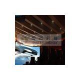 Exciting Immersive 4D Cinema ,new 4D Movie in High Quality,5D Theater Simulation