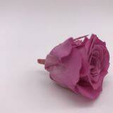 Preserved Rose Flowers for Wedding Decoration Flower Arrangement thumbnail-2
