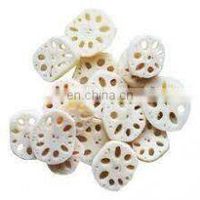 Dried Sliced Lotus Roots/Rich in Nutrition From Vietnam thumbnail-2