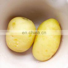 5T per Hour Industrial Automatic Steam Potato Carrot Tomato Peeling Machine thumbnail-4