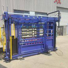 High Quality Cattle Panel Squeeze Crush Cattle Handling Equipment With Weighing System thumbnail-5