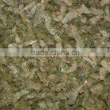 Best And Pure Sugandh Mantri Oil ( Gandhi Roots )