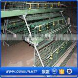 Automatic Chicken Layer Poultry Control Shed Equipment thumbnail-5