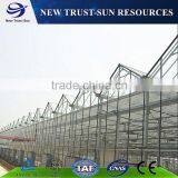 Simple Low Cost Glass Agricultural Greenhouse thumbnail-3