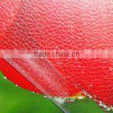 Fine Frosted Shape Film for Photo Studio Use