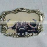 2012 Bison Fridgemagnet 0072