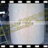 Oval Aquarium thumbnail-2